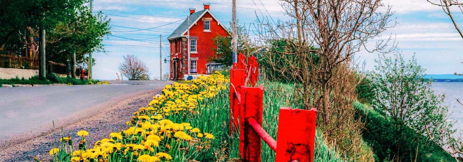 Programs & Services Harbour Grace