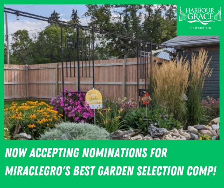 MiracleGro ‘Best Garden Selection’ Competition Harbour Grace