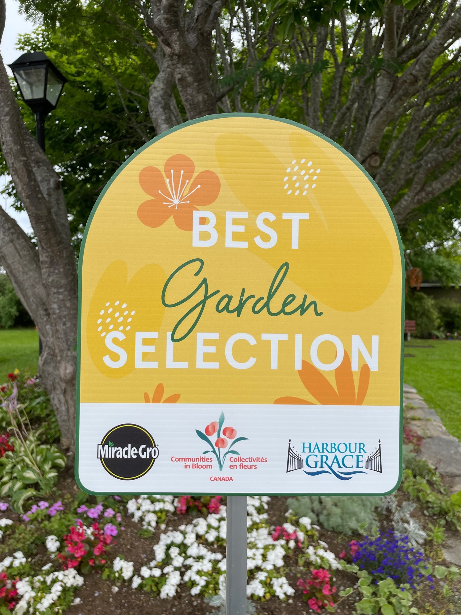 Communities in Bloom ‘Best Garden Selection’ Poll Harbour Grace